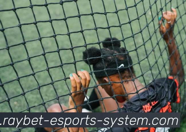 雷竞技APP 体育赛事宣传图